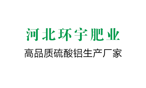 中国电建党委常委、副总经理刘源到广东阳江海上风电项目调研指导